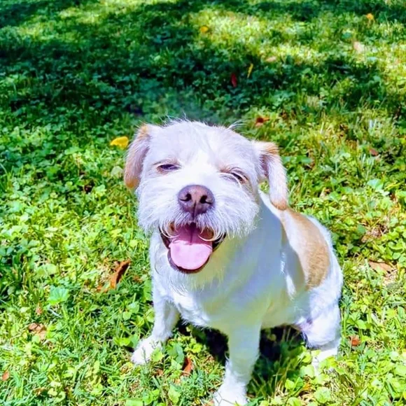 Smile! Treat yourself!🌛🌌🌃🫶💜💖💕❤️ - Picture 10 of 12